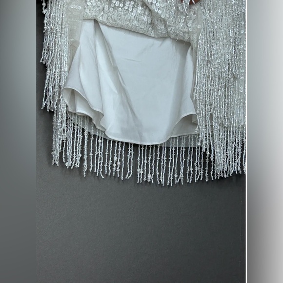 BHLDN Arabella Mini Sequin Fringe Dress - Picture 8 of 8
